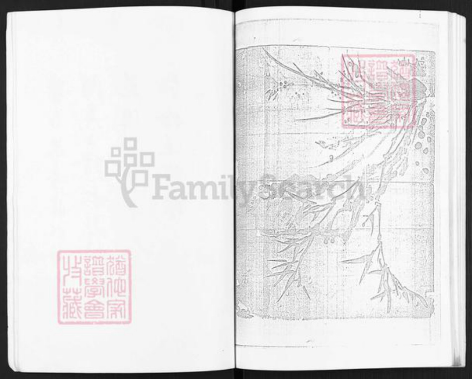 江苏省淮安市淮安区孙氏族谱-孙氏百年史记.pdf电子版插图5