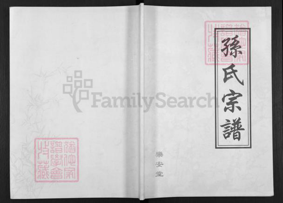 江苏省盐城市亭湖区孙氏乐安堂族谱-孙氏宗谱.pdf电子版插图