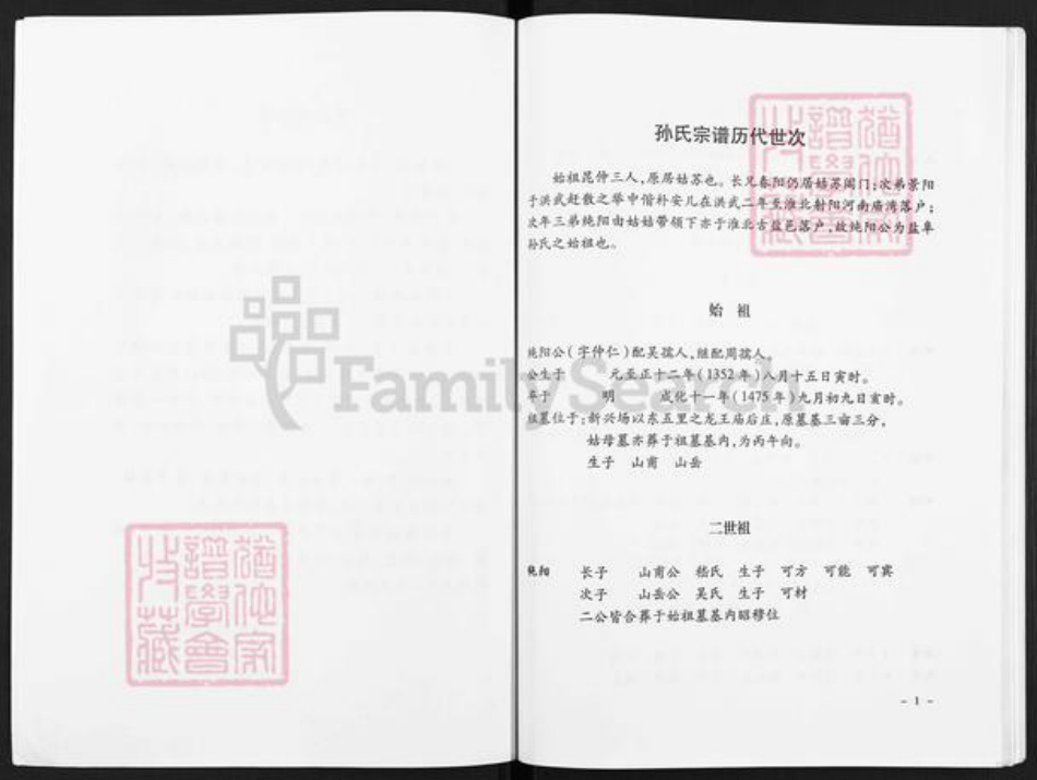 江苏省盐城市亭湖区孙氏乐安堂族谱-孙氏宗谱.pdf电子版插图2