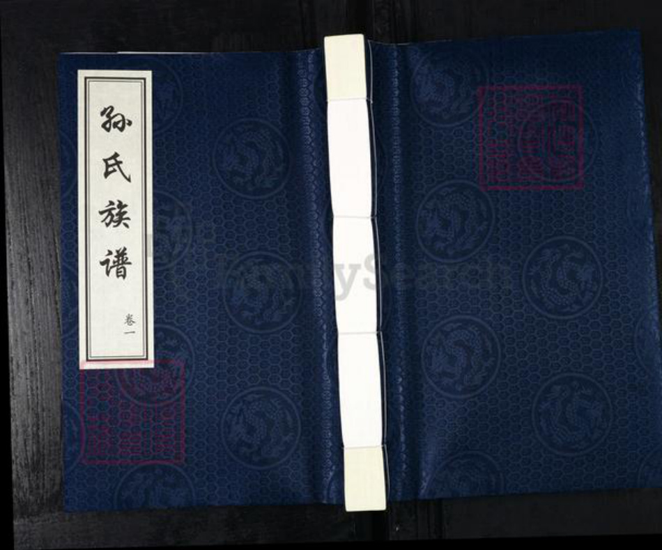 山东省德州市乐陵市铁营镇孙氏族谱-孙氏族谱.pdf电子版插图 山东省德州市乐陵市铁营镇孙氏族谱-孙氏族谱.pdf电子版插图