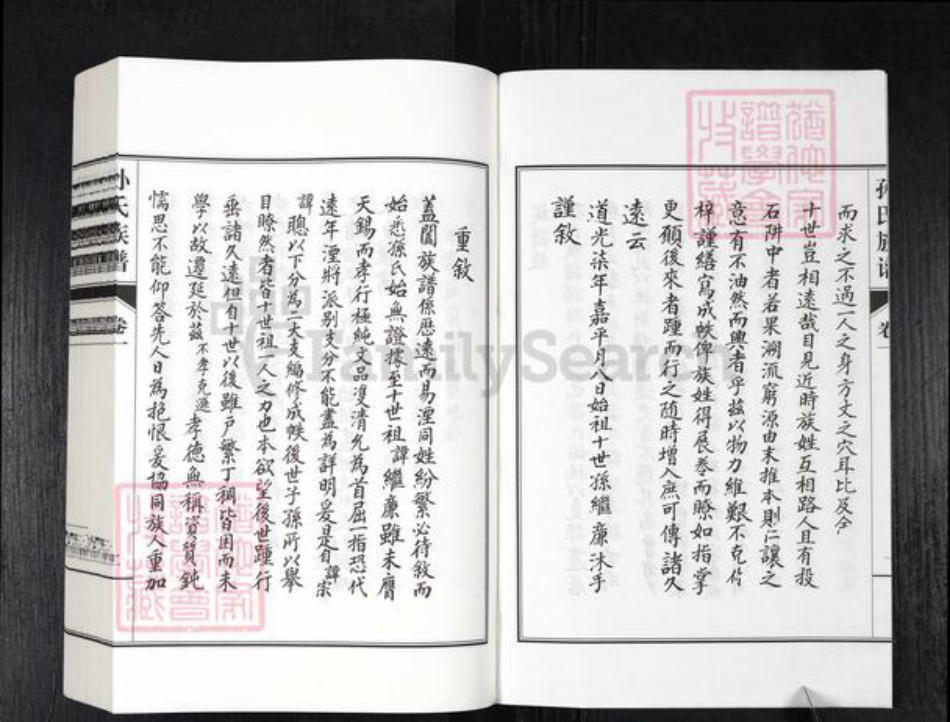 山东省德州市乐陵市铁营镇孙氏族谱-孙氏族谱.pdf电子版插图2 山东省德州市乐陵市铁营镇孙氏族谱-孙氏族谱.pdf电子版插图2