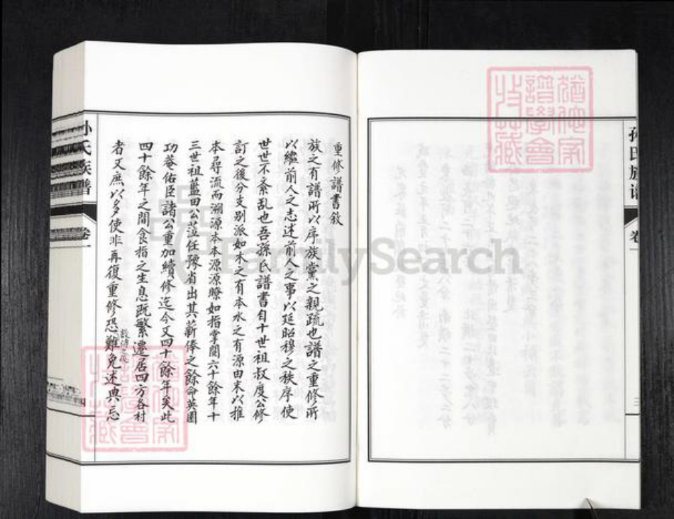 山东省德州市乐陵市铁营镇孙氏族谱-孙氏族谱.pdf电子版插图4 山东省德州市乐陵市铁营镇孙氏族谱-孙氏族谱.pdf电子版插图4