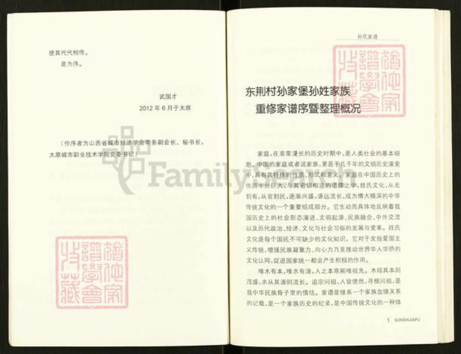 山西省运城市绛县陈村镇孙氏族谱-孙氏族谱.pdf电子版插图4