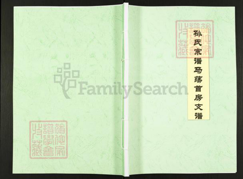 江苏省盐城市阜宁县孙氏映雪堂族谱-孙氏宗谱马荡首房支谱.pdf电子版插图
