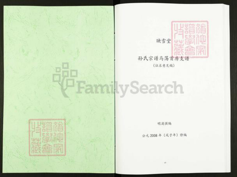 江苏省盐城市阜宁县孙氏映雪堂族谱-孙氏宗谱马荡首房支谱.pdf电子版插图1