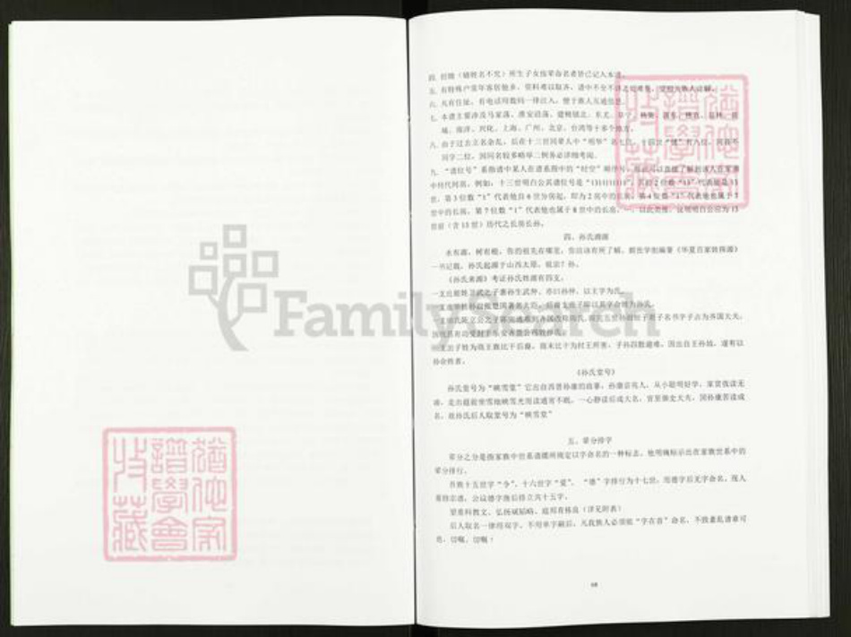 江苏省盐城市阜宁县孙氏映雪堂族谱-孙氏宗谱马荡首房支谱.pdf电子版插图4