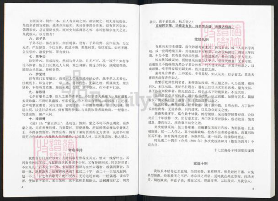江苏省盐城市盐都区郭猛镇孙氏乐安堂族谱-重印迁盐孙氏宗谱.pdf电子版插图5