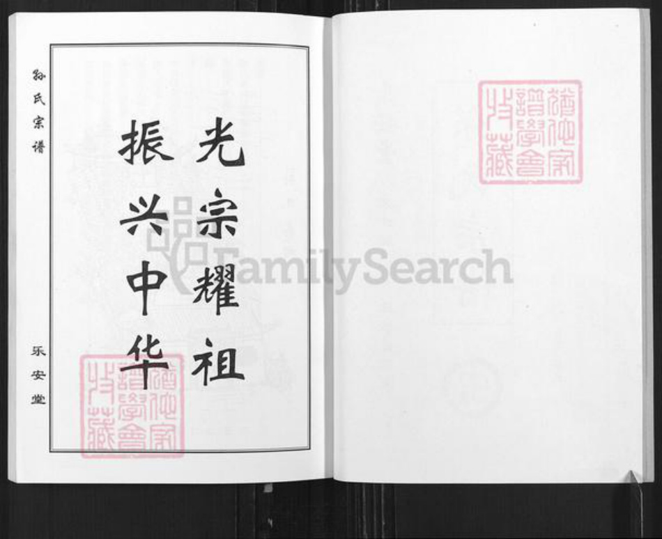 江苏省盐城市亭湖区孙氏乐安堂族谱-孙氏宗谱.pdf电子版插图2