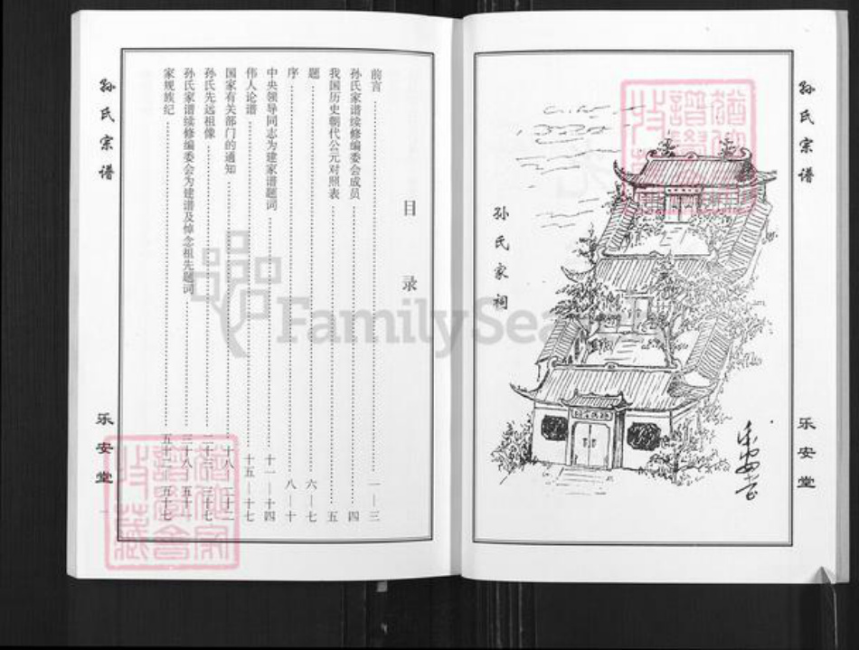 江苏省盐城市亭湖区孙氏乐安堂族谱-孙氏宗谱.pdf电子版插图3