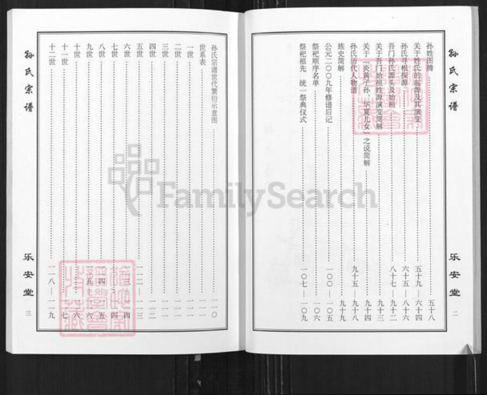 江苏省盐城市亭湖区孙氏乐安堂族谱-孙氏宗谱.pdf电子版插图4