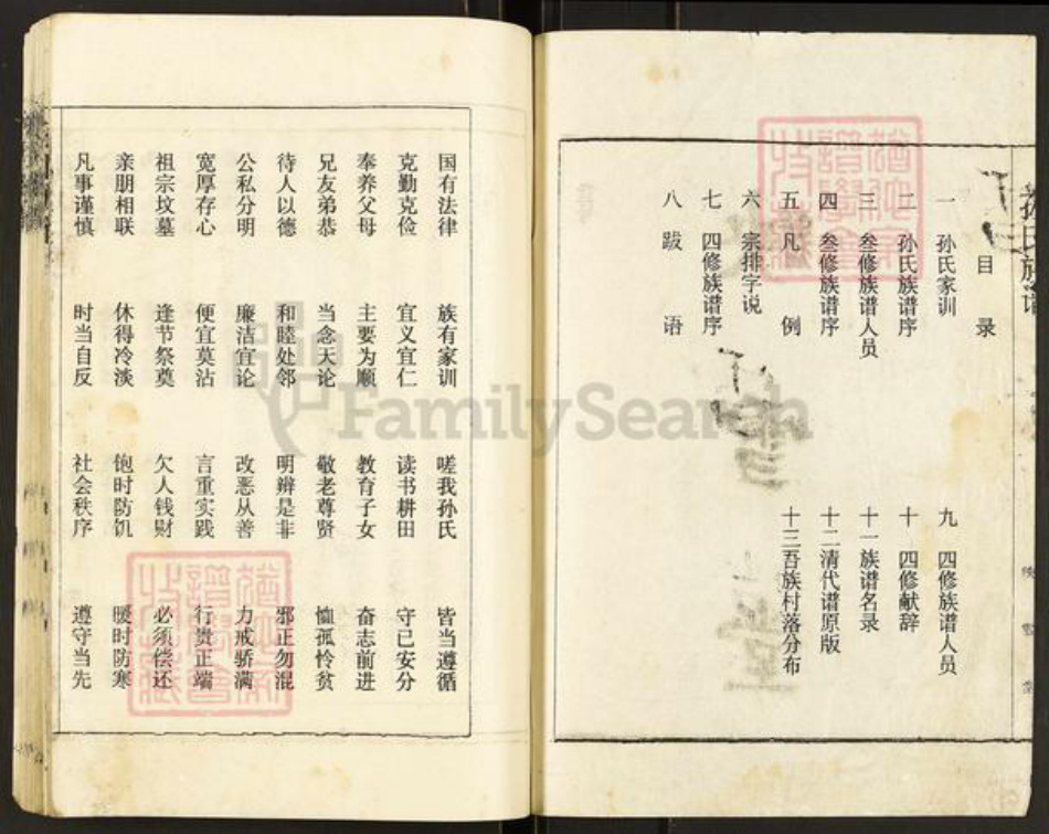 江苏省徐州市沛县安国镇孙氏映雪堂族谱-孙氏族谱.pdf电子版插图2