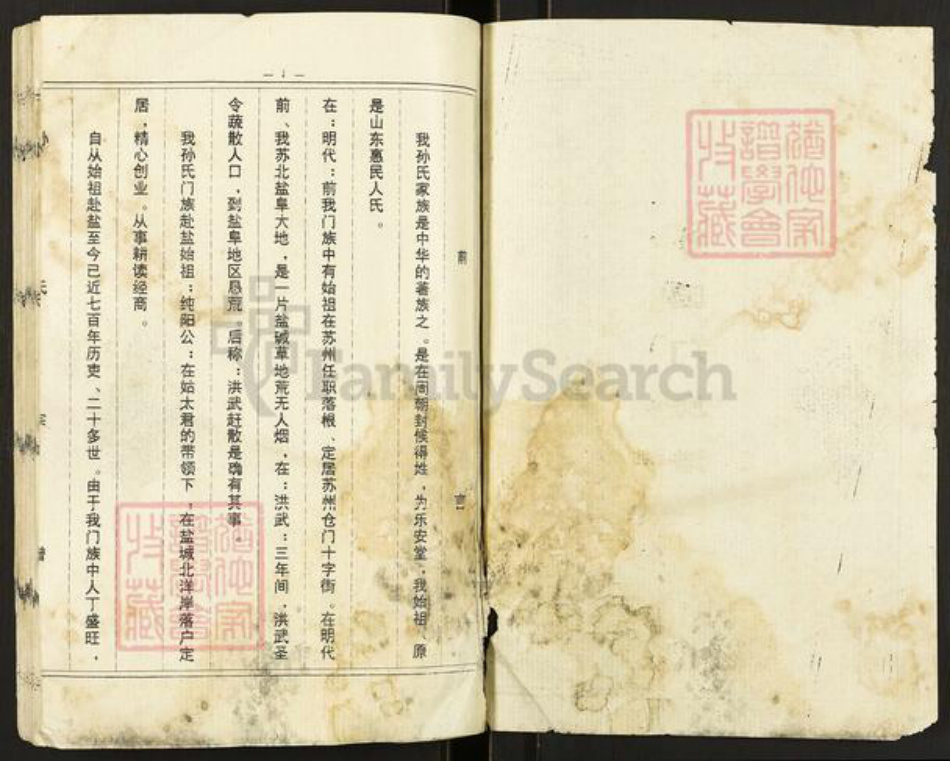 江苏省盐城市亭湖区新兴镇孙氏乐安堂族谱-孙氏宗谱.pdf电子版插图2