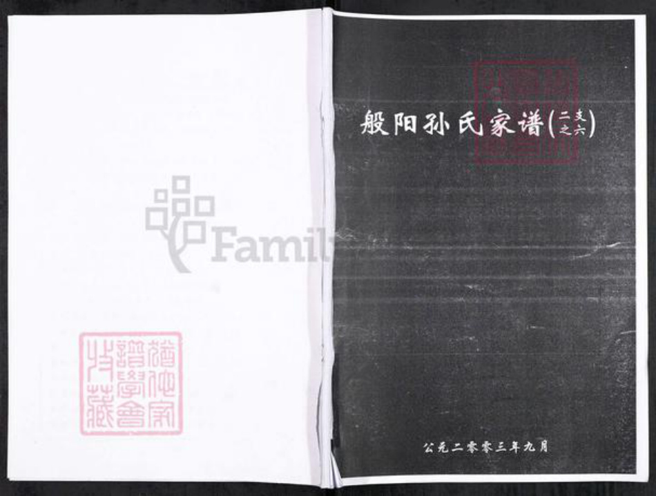 山东省淄博市淄川区孙氏族谱-般阳孙氏家谱(二支之六).pdf电子版插图