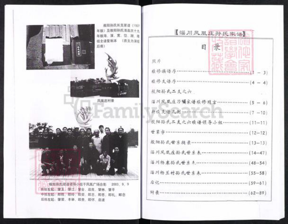 山东省淄博市淄川区孙氏族谱-般阳孙氏家谱(二支之六).pdf电子版插图2