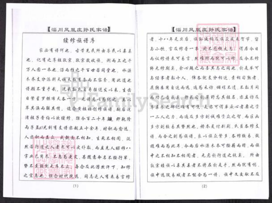 山东省淄博市淄川区孙氏族谱-般阳孙氏家谱(二支之六).pdf电子版插图3