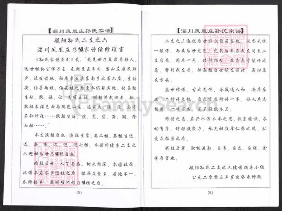 山东省淄博市淄川区孙氏族谱-般阳孙氏家谱(二支之六).pdf电子版插图5