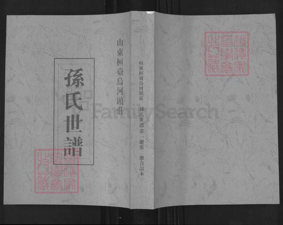 山东省淄博市桓台县新城镇孙氏族谱-山东桓台乌河头庄孙氏世谱.pdf电子版