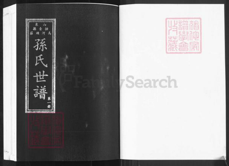 山东省淄博市桓台县新城镇孙氏族谱-山东桓台乌河头庄孙氏世谱.pdf电子版插图1