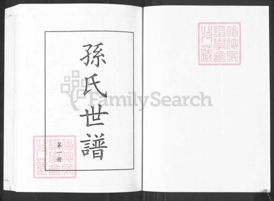 山东省淄博市桓台县新城镇孙氏族谱-山东桓台乌河头庄孙氏世谱.pdf电子版插图2