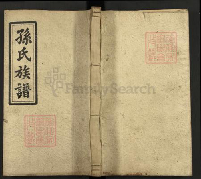 湖南省邵阳市武冈市武冈孙氏族谱-孙氏四修族谱.pdf电子版插图