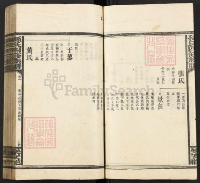 湖南省邵阳市武冈市武冈孙氏族谱-孙氏四修族谱.pdf电子版插图3