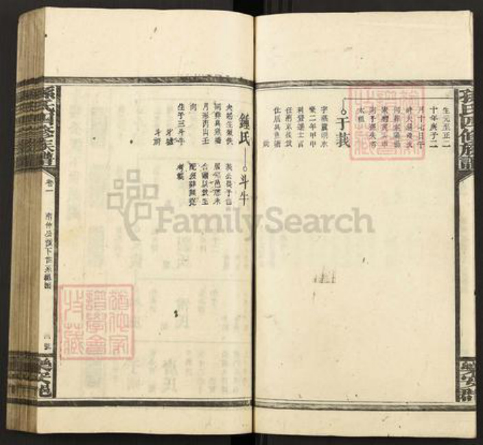 湖南省邵阳市武冈市武冈孙氏族谱-孙氏四修族谱.pdf电子版插图4