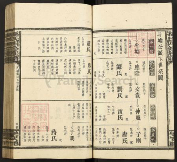 湖南省邵阳市武冈市武冈孙氏族谱-孙氏四修族谱.pdf电子版插图5