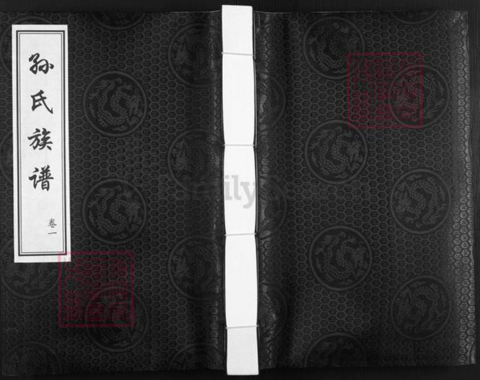 山东省德州市乐陵市铁营镇孙氏族谱-孙氏族谱.pdf电子版