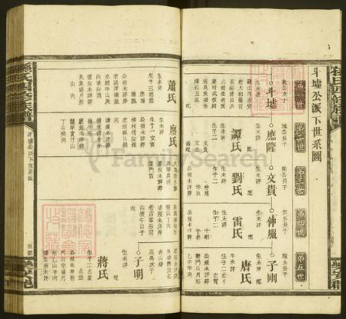 湖南省邵阳市孙氏族谱-孙氏四修族谱.pdf电子版插图5