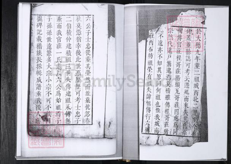 山东省青岛市孙氏族谱-孙氏族谱.孙家官庄.pdf电子版插图2