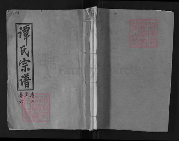 湖南省郴州市桂阳县荷叶镇谭氏三仕堂族谱-谭氏宗谱.pdf电子版插图