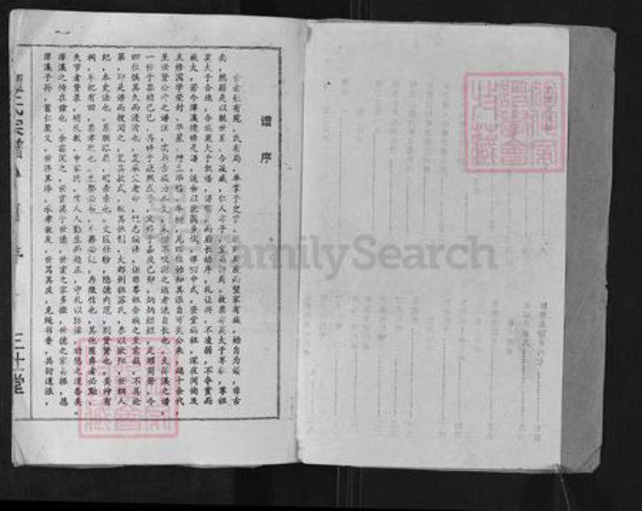 湖南省郴州市桂阳县荷叶镇谭氏三仕堂族谱-谭氏宗谱.pdf电子版插图2