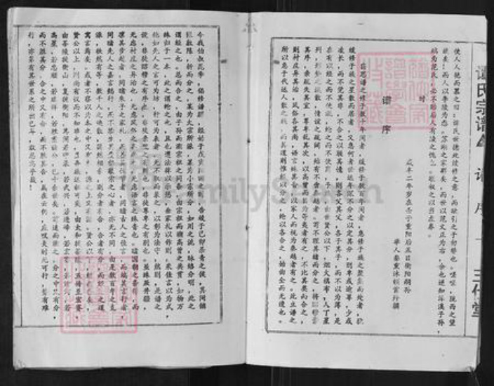 湖南省郴州市桂阳县荷叶镇谭氏三仕堂族谱-谭氏宗谱.pdf电子版插图3