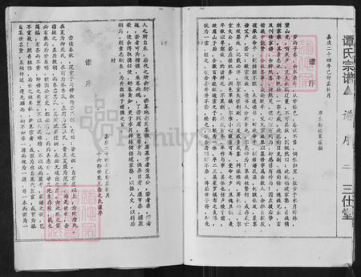 湖南省郴州市桂阳县荷叶镇谭氏三仕堂族谱-谭氏宗谱.pdf电子版插图4