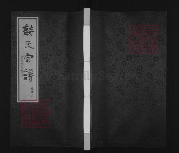 江苏省常州市天宁区郑陆镇谈氏追远堂族谱-谈氏宗谱.pdf电子版