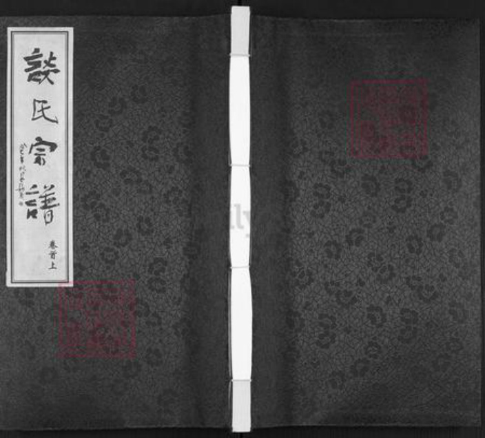 江苏省常州市天宁区郑陆镇谈氏追远堂族谱-谈氏宗谱.pdf电子版插图 江苏省常州市天宁区郑陆镇谈氏追远堂族谱-谈氏宗谱.pdf电子版插图