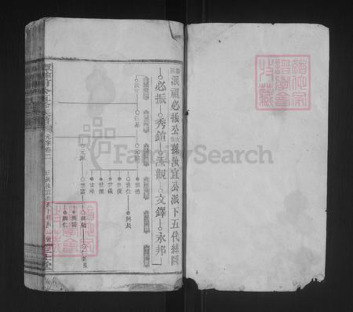 湖南省谭氏三仕堂族谱-谭惟甫公五修族谱.pdf电子版插图1