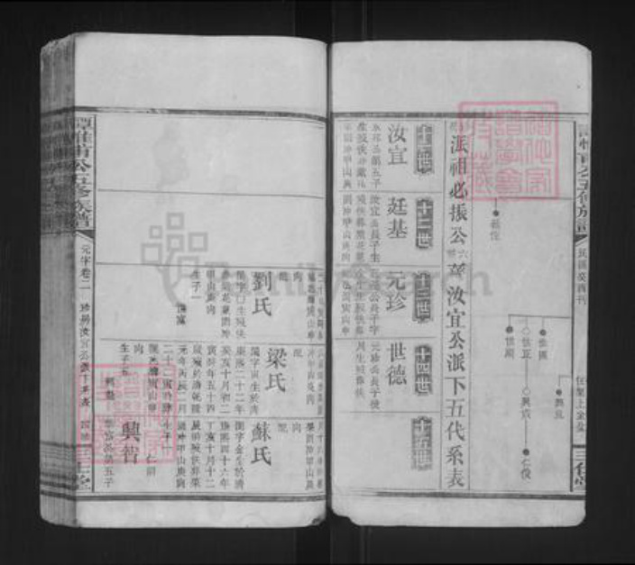 湖南省谭氏三仕堂族谱-谭惟甫公五修族谱.pdf电子版插图3
