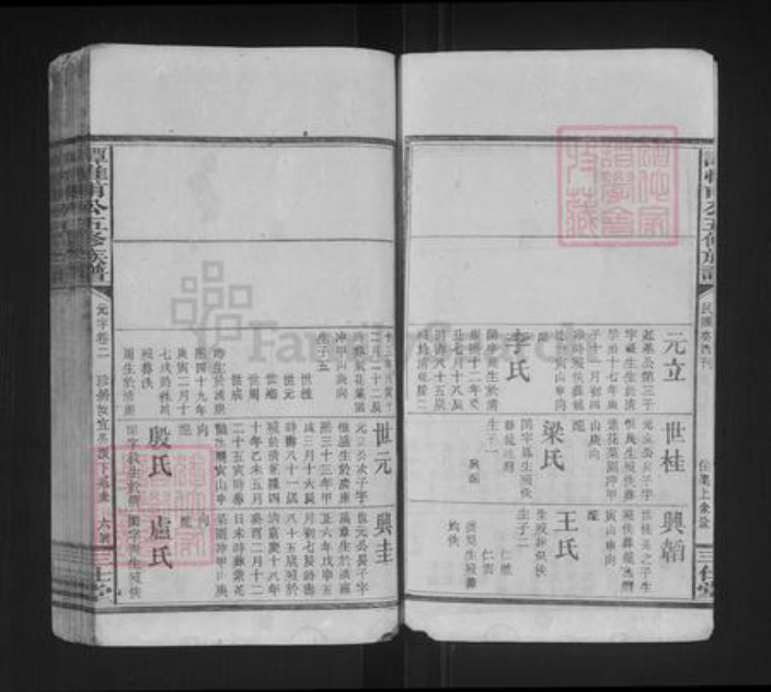湖南省谭氏三仕堂族谱-谭惟甫公五修族谱.pdf电子版插图5