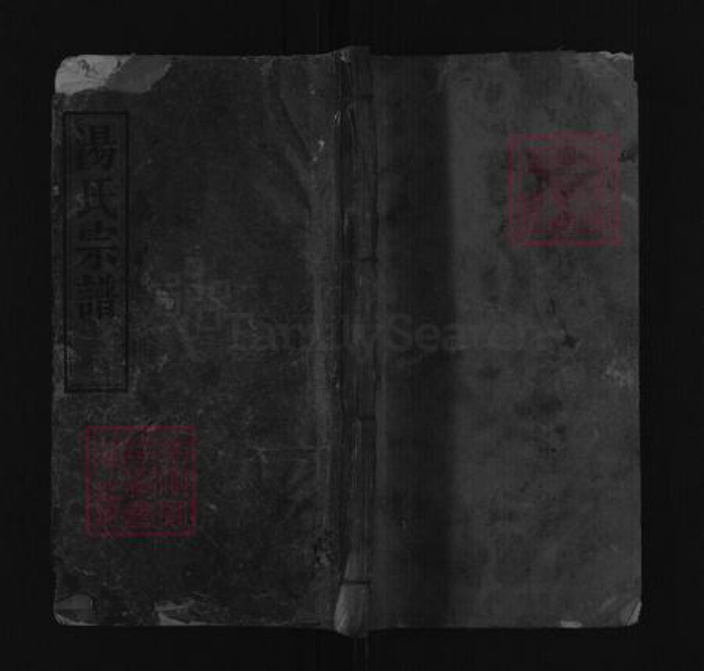 湖北省黄冈市汤氏濬哲堂族谱-汤氏宗谱.pdf电子版插图 湖北省黄冈市汤氏濬哲堂族谱-汤氏宗谱.pdf电子版插图