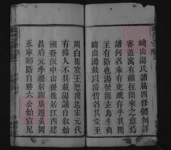 湖北省黄冈市汤氏濬哲堂族谱-汤氏宗谱.pdf电子版插图3 湖北省黄冈市汤氏濬哲堂族谱-汤氏宗谱.pdf电子版插图3