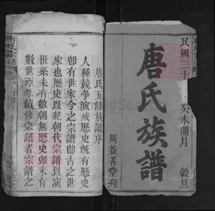 湖北省黄冈市罗田县唐氏合德堂族谱-唐氏宗谱.pdf电子版插图1 湖北省黄冈市罗田县唐氏合德堂族谱-唐氏宗谱.pdf电子版插图1