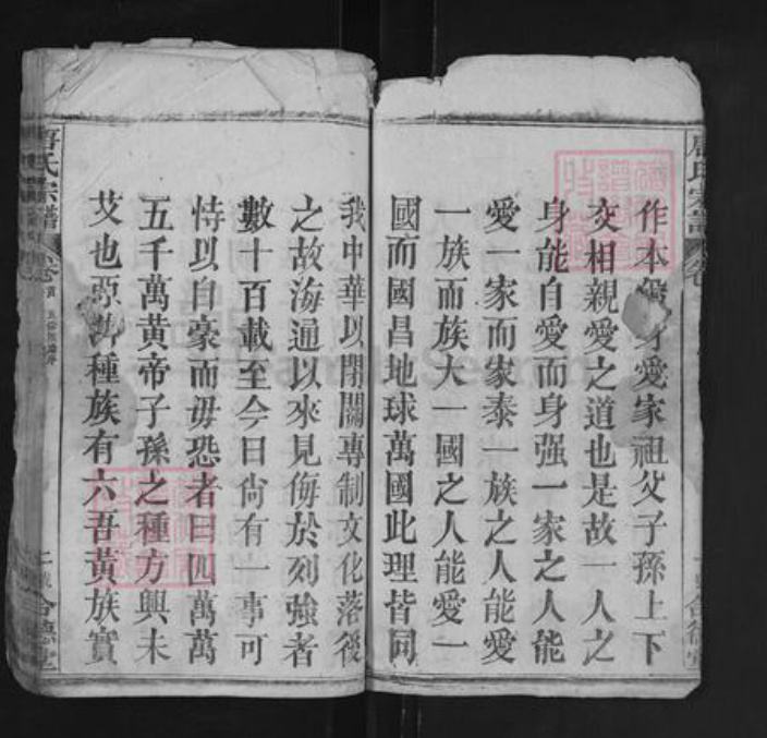 湖北省黄冈市罗田县唐氏合德堂族谱-唐氏宗谱.pdf电子版插图2 湖北省黄冈市罗田县唐氏合德堂族谱-唐氏宗谱.pdf电子版插图2