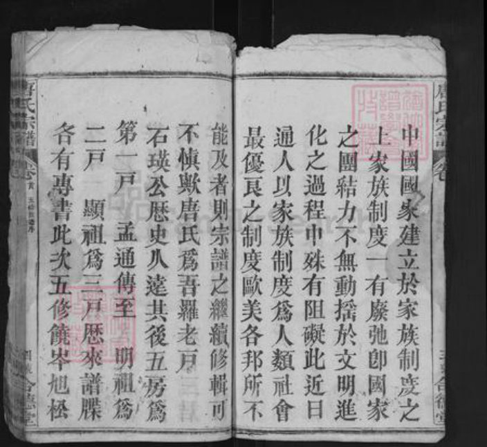 湖北省黄冈市罗田县唐氏合德堂族谱-唐氏宗谱.pdf电子版插图4 湖北省黄冈市罗田县唐氏合德堂族谱-唐氏宗谱.pdf电子版插图4