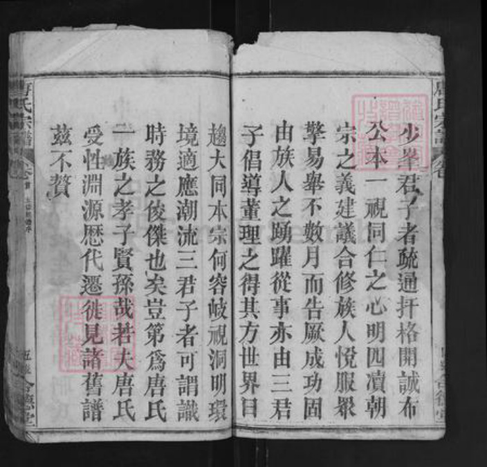 湖北省黄冈市罗田县唐氏合德堂族谱-唐氏宗谱.pdf电子版插图5 湖北省黄冈市罗田县唐氏合德堂族谱-唐氏宗谱.pdf电子版插图5