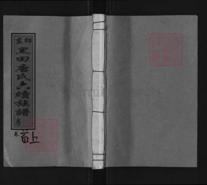 湖南省邵阳市邵东市唐氏敦睦堂族谱-邵东黑田唐氏六续族谱.pdf电子版插图