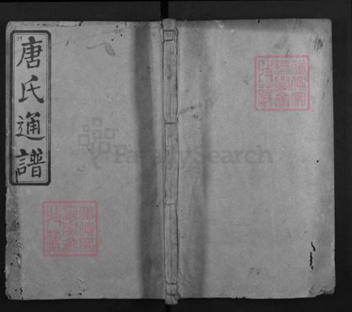 湖南省邵阳市隆回县新田唐氏族谱-唐氏合修通谱.pdf电子版插图