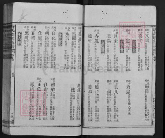 湖南省邵阳市隆回县新田唐氏族谱-唐氏合修通谱.pdf电子版插图2