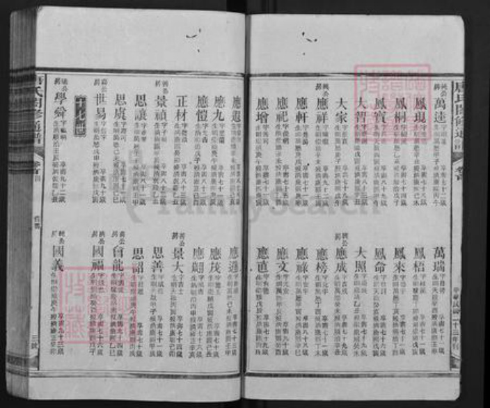湖南省邵阳市隆回县新田唐氏族谱-唐氏合修通谱.pdf电子版插图3