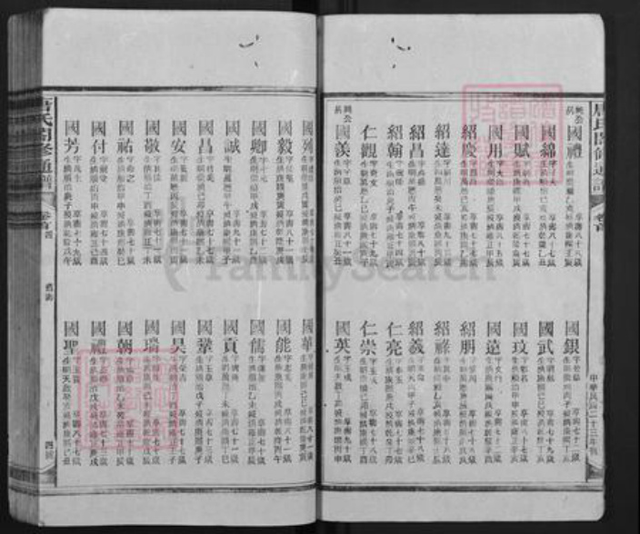 湖南省邵阳市隆回县新田唐氏族谱-唐氏合修通谱.pdf电子版插图4